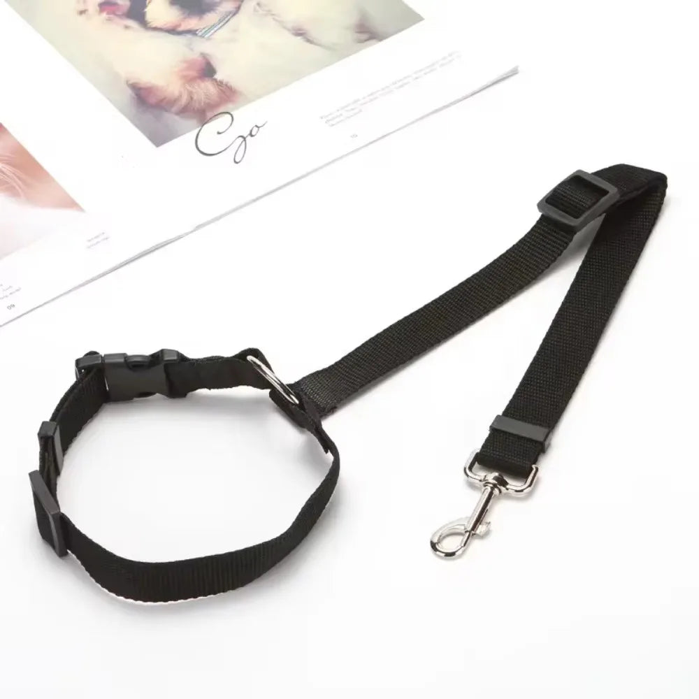 Autosicherheitsgurt für Hunde - verstellbar & sicher